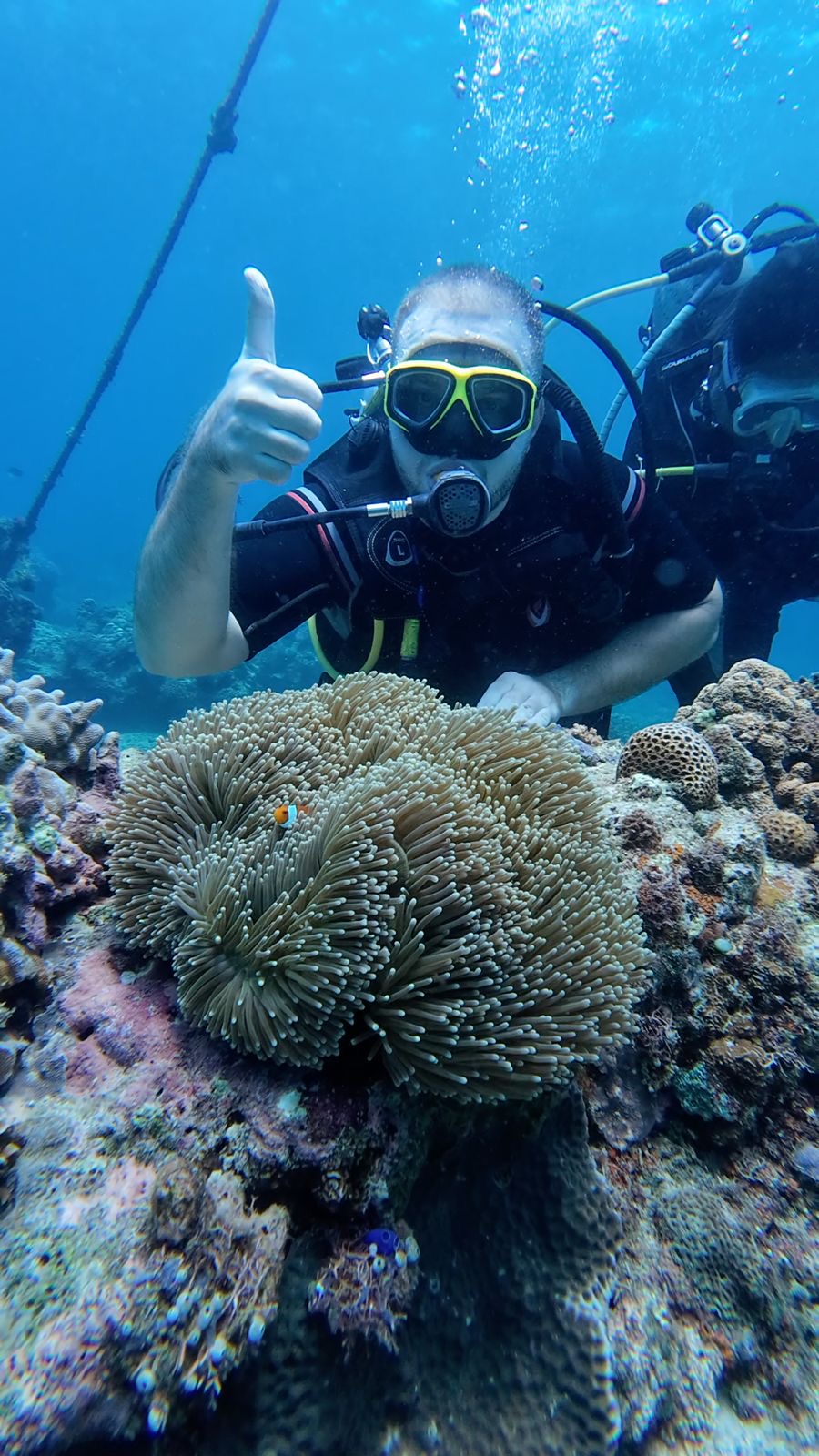 Tauchen am Riff auf Boracay
